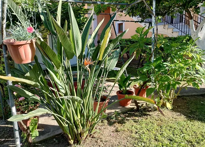 Apartament Nikos 3 *