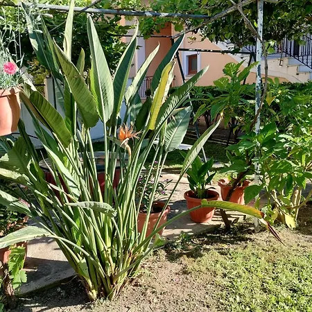 Appartement Nikos 3 *